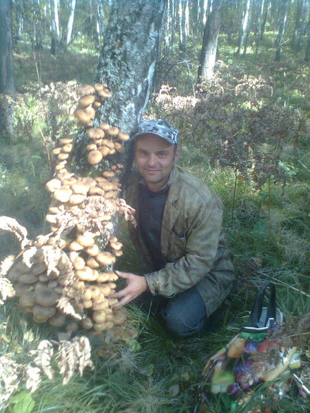 Игорь Белобородов