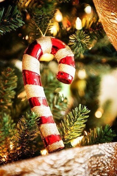 Оксана Татарова