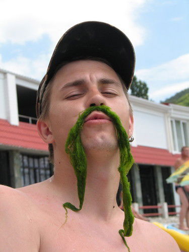 Павел Петров