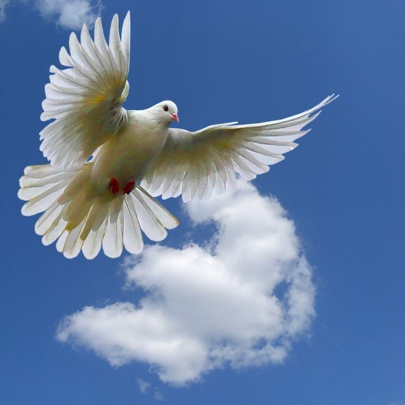 Лиля Панкратьева