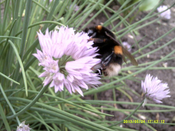 Галина Сухопар