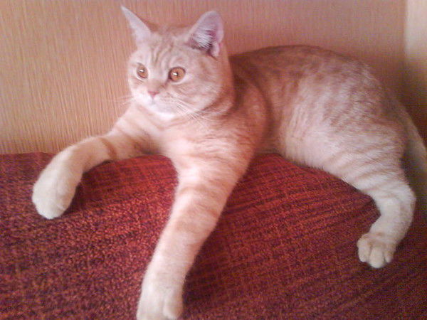 Оксана Тучина