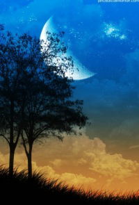 Лена Осипова (Солдатова)