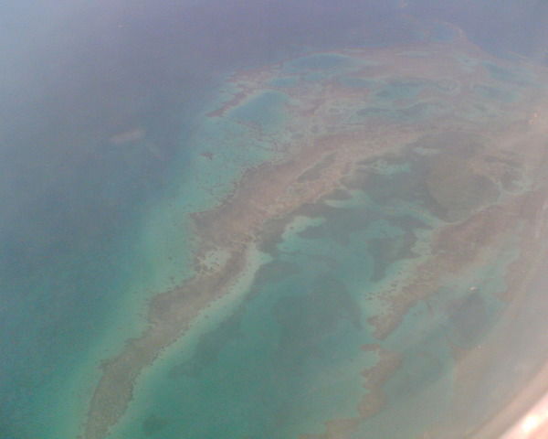 Аркадий Максимов