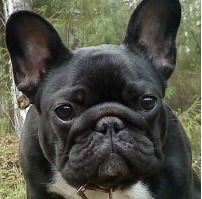 Татьяна Пунгина