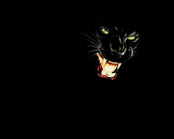 Виталий ***************