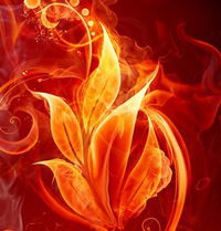 Богдан Марченко