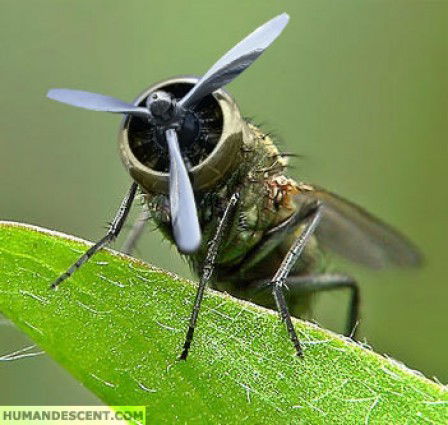 Галина Васильева