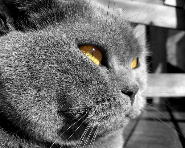 Алекс@ндр Ххх