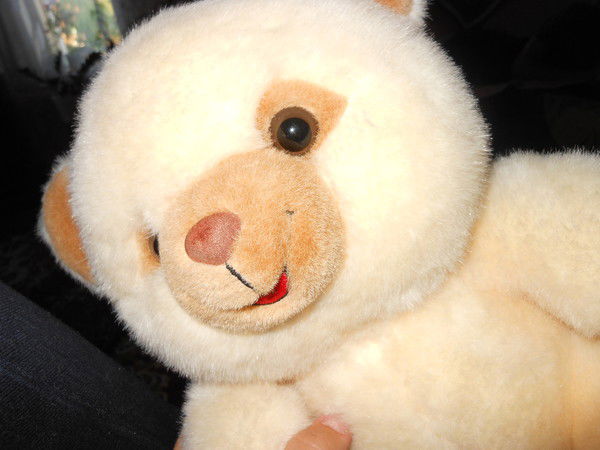 Ксения Черепанова