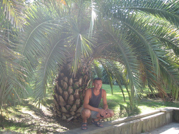 Николай Лоханков