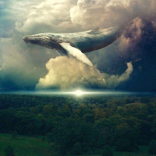 Антон Хоменко