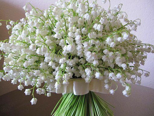 Наталия Цепелева