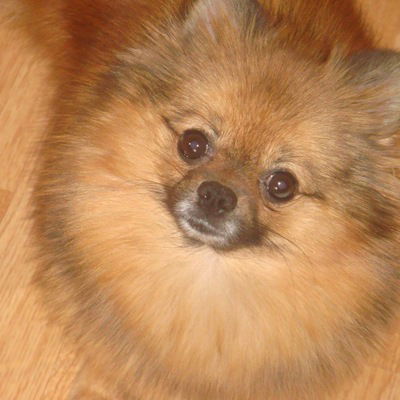 Ирина Вересова