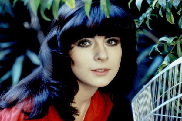 Светлана Черникова