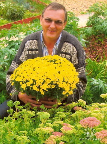 Александр Черниенко