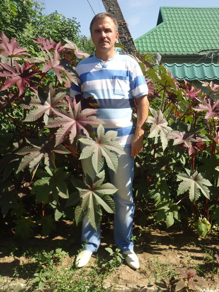 Василий Педаш