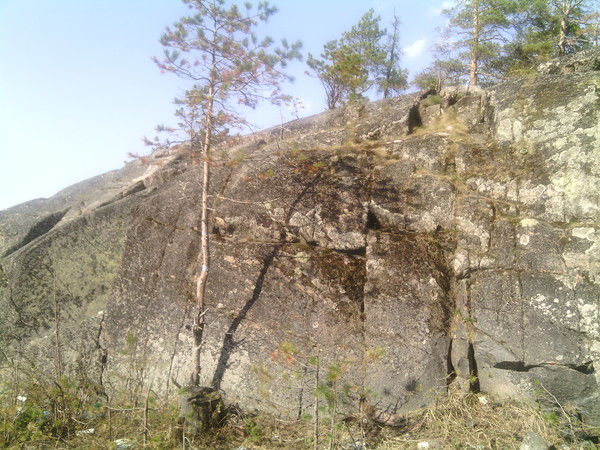 Анна Воронина