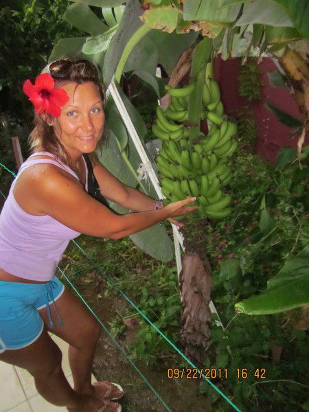 Татьяна Жаркова