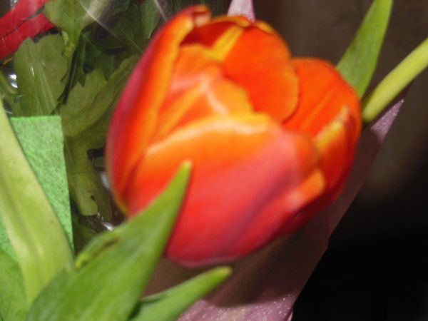 Ирина Ивкова