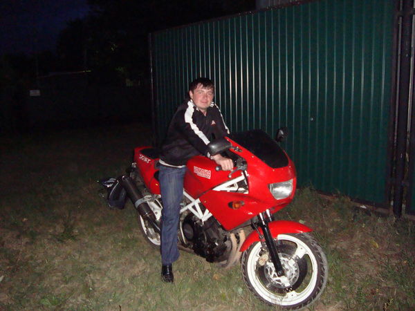 Александр Архипов