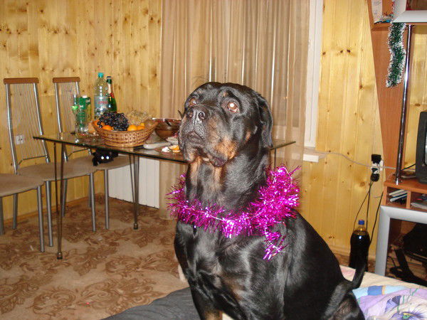 Ольга Фетисова