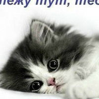 Анастасия Настя