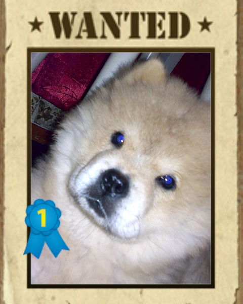 Фёдор Подкорытов