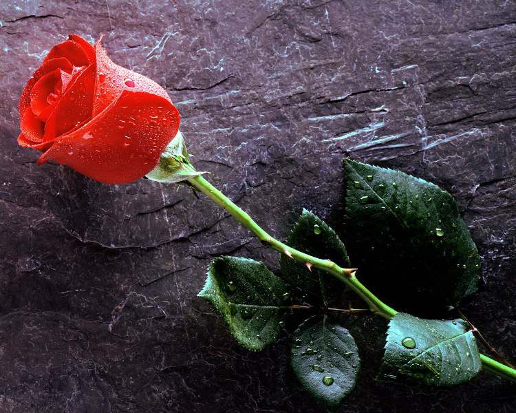 Что у тебя интересного сегодня. Смотреть фото Что у тебя интересного сегодня. Смотреть картинку Что у тебя интересного сегодня. Картинка про Что у тебя интересного сегодня. Фото Что у тебя интересного сегодня
