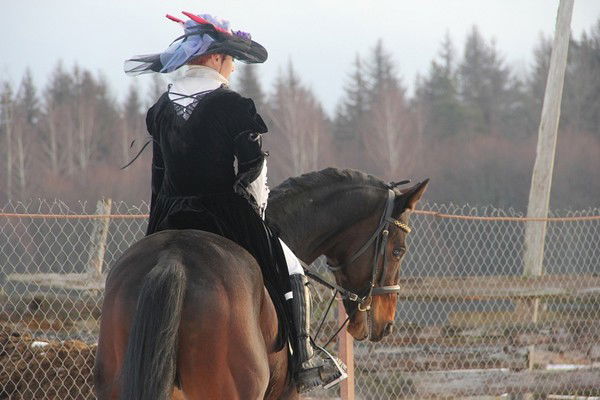 Елена Морозова