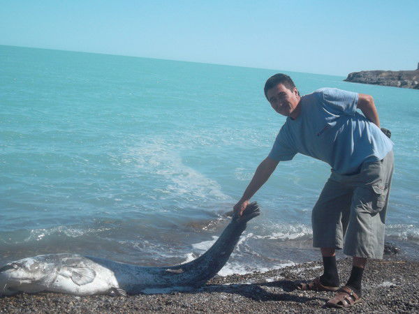 Ерлан Ниязов