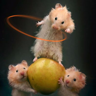 Михаил Иванов