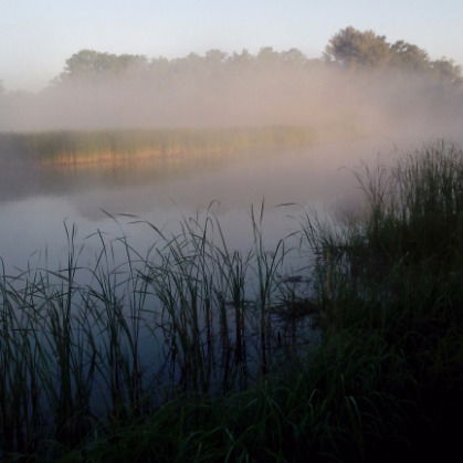 Сергей Харламов