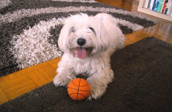 Кенжегуль Бекташова