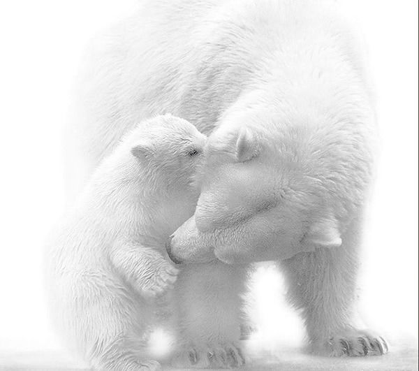 Марина Панкова