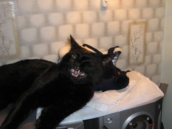 Данил Каипов