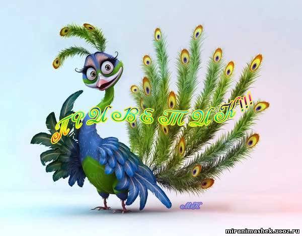 Венера Зиннатуллина