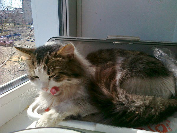 Вера Сивакова