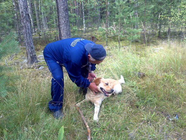 Владимир Куликов