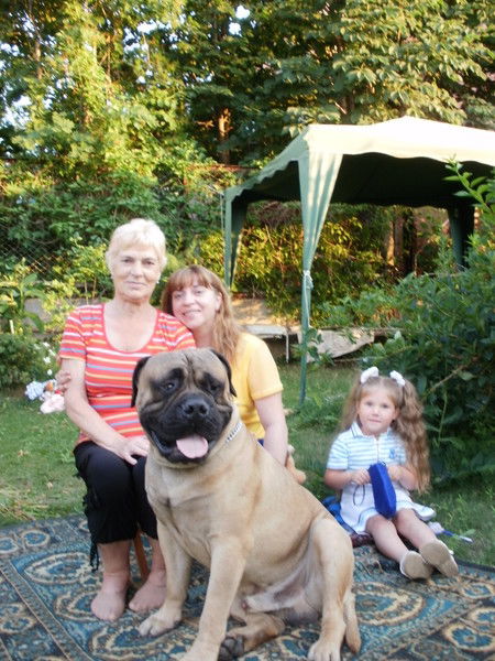 Елена Стромова