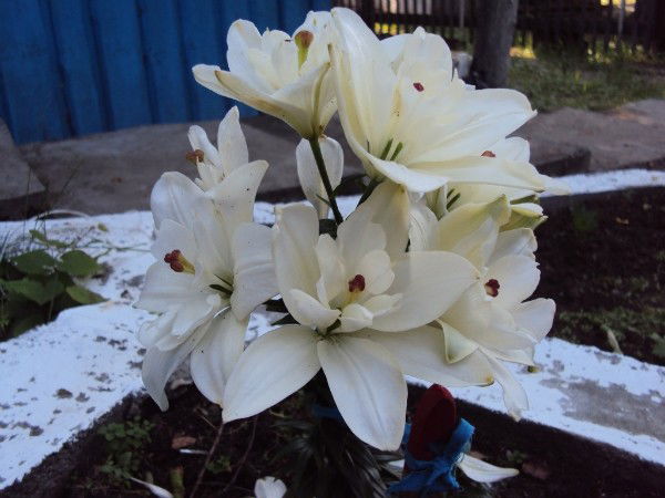 Владимир Слесаренко