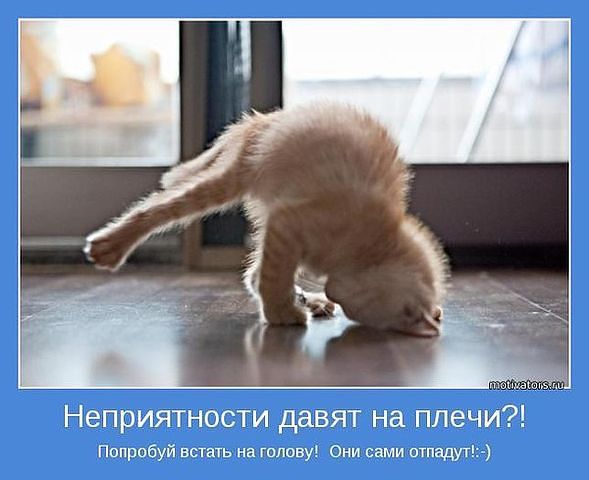 Наталья Мамаева