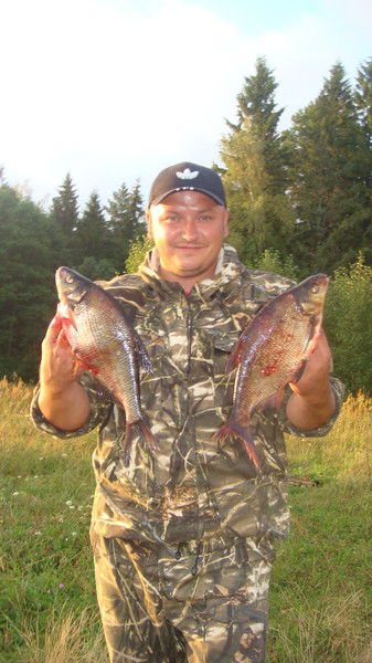 ??????????????? ????????????