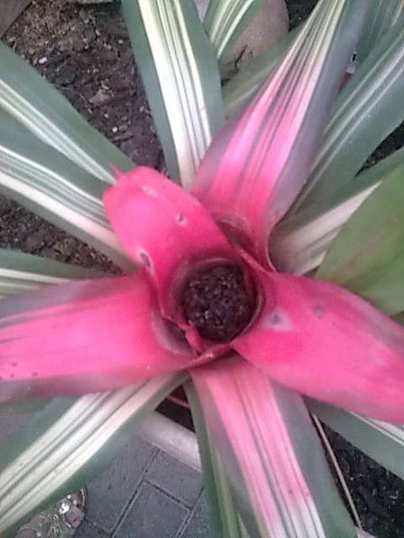 Татьяна Лаптева