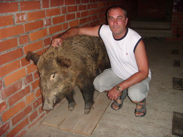 Сергей Орлов