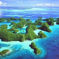 Саня Діренко