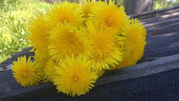 Катя+Денис Виноградовы