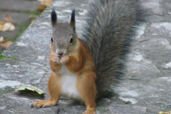 Татьяна Гуртовая