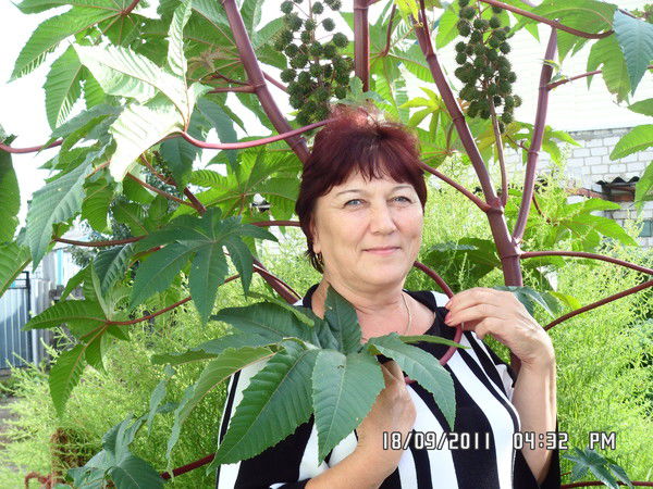 Надежда Драбинина