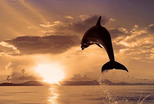 Ольга Чувикова